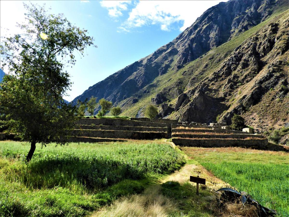 Ayllu B&B Ollantaytambo Eksteriør billede