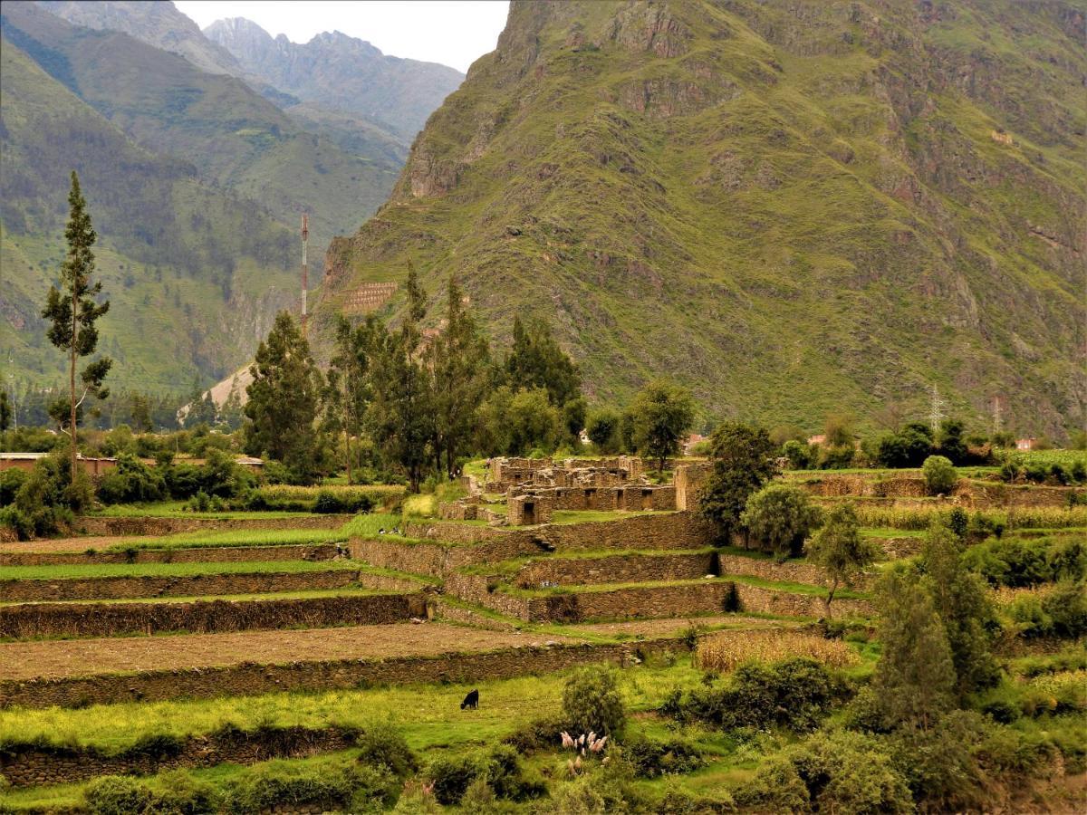 Ayllu B&B Ollantaytambo Eksteriør billede